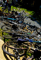 Ross's bike collection