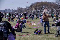 Kite Festival